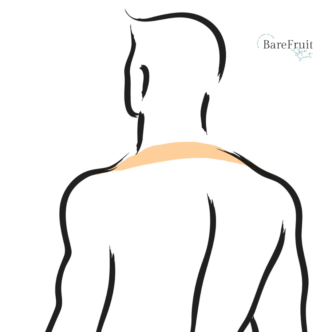 laser hair removal area illustrations bare fruit sugaring - UPper Back
